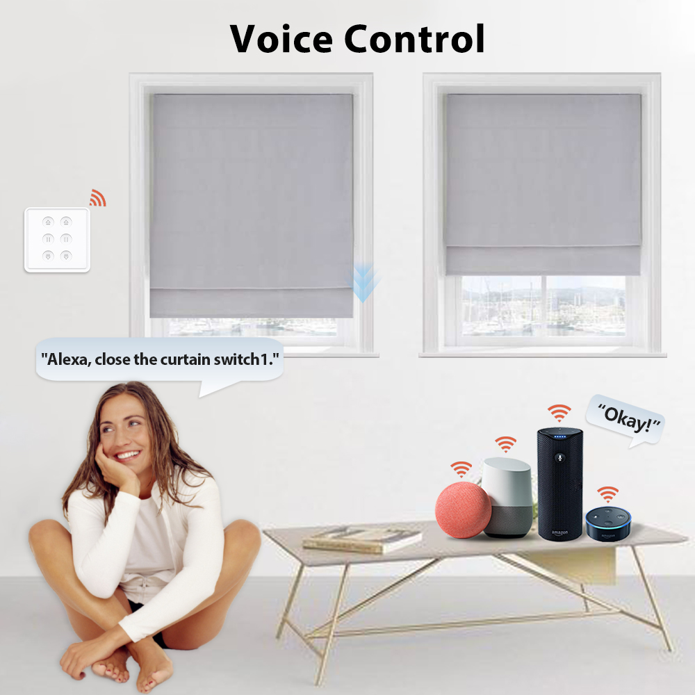 Interruptor de Cortinas Dobles - Smart Home Blinds reseña y precio