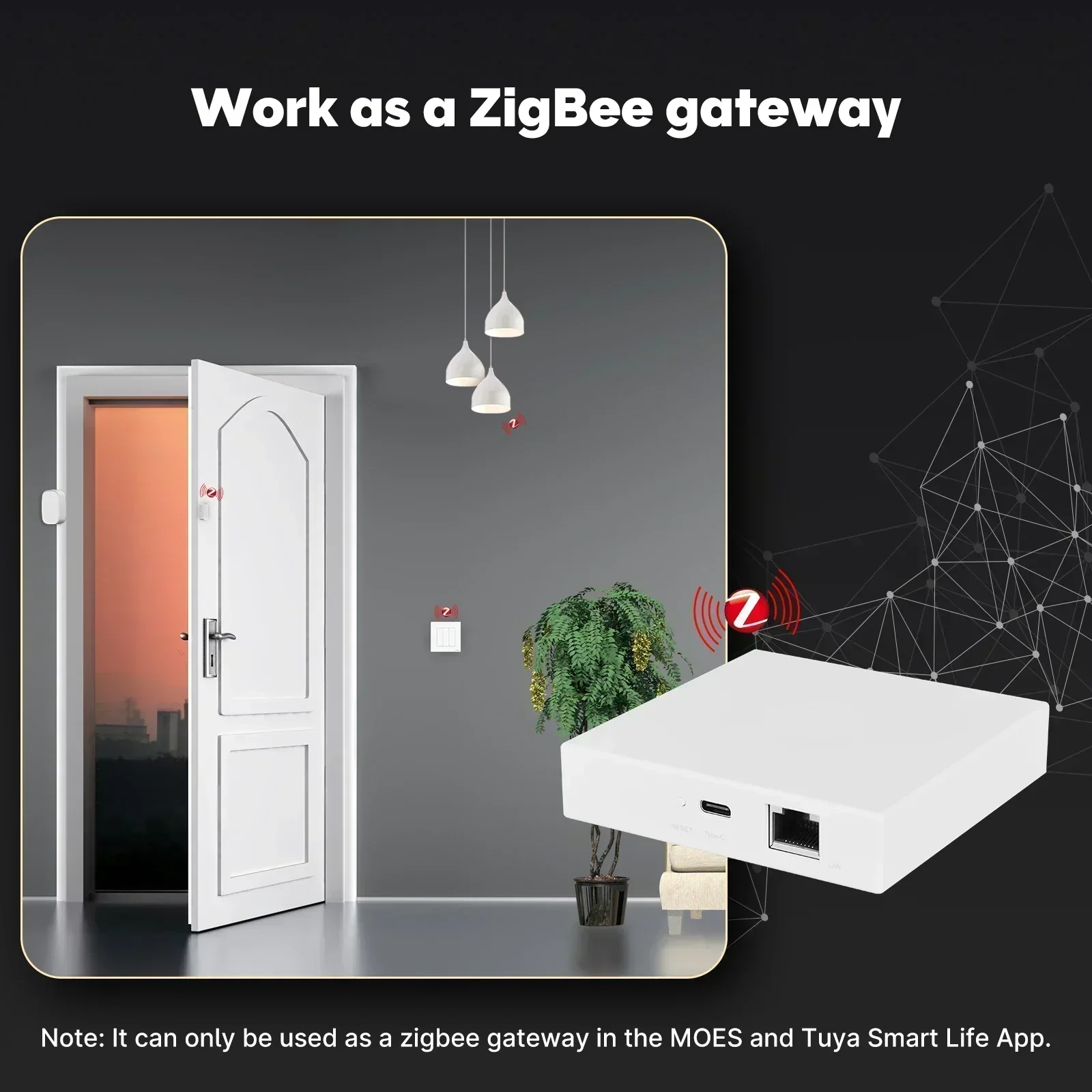 MOES Tuya Zigbee Matter Thread - Smart Home Moes reseña y precio