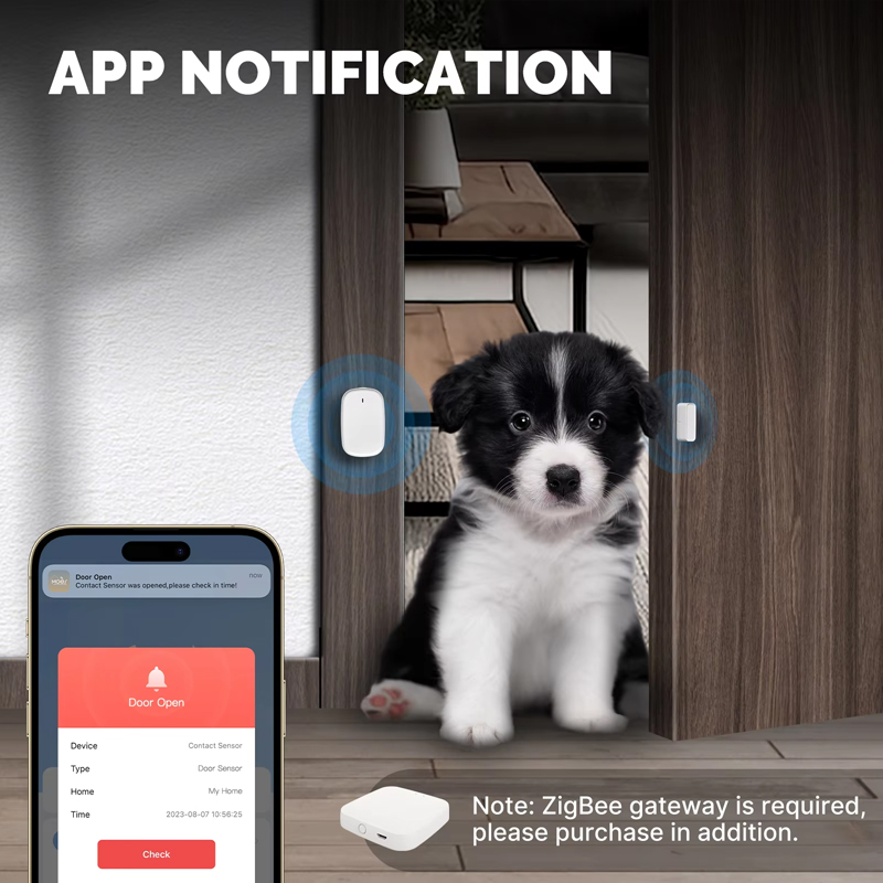 Sensor de Puerta y Ventana Int - Smart Home Moes reseña y precio