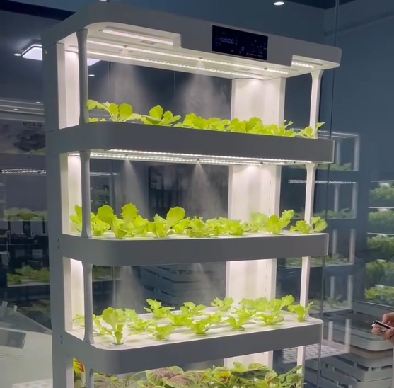 Máquina de cultivo hidropónico - Smart Home Diy reseña y precio